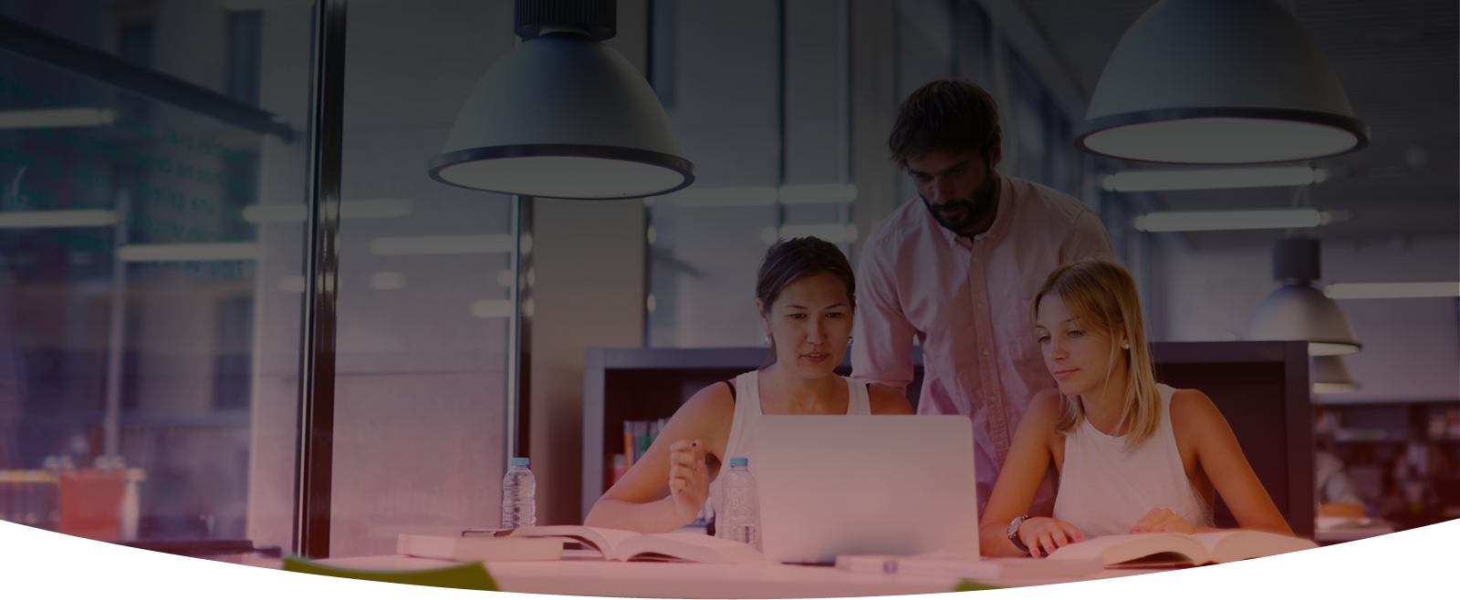 Custom Development Header